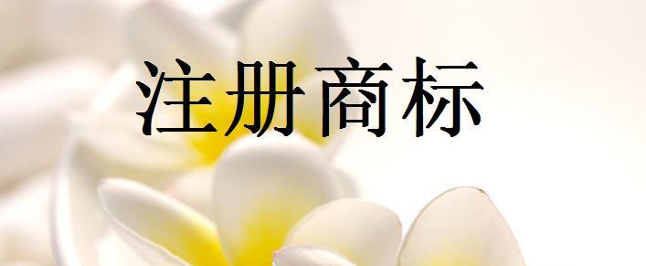 商標注冊前需要注意哪些問題？