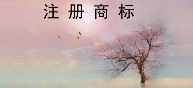 申請注冊商標 申請注冊商標